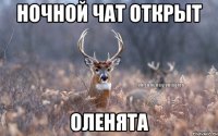 Ночной чат открыт Оленята