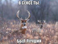 В сексе ты, был лучший