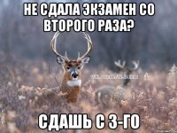 Не сдала экзамен со второго раза? Сдашь с 3-го