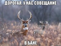 дорогая, у нас совещание В БАНЕ