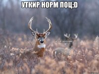 Уткир норм поц;D 