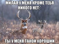 Милая,у меня кроме тебя никого нет:* Ты у меня такой хороший