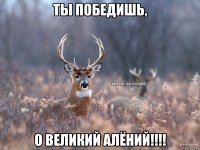 Ты победишь, о Великий Алёний!!!!