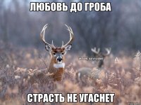 Любовь до гроба Страсть не угаснет