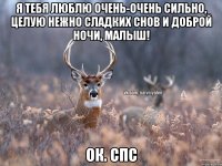 Я тебя люблю очень-очень сильно, целую нежно сладких снов и доброй ночи, малыш! Ок. спс