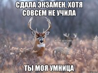 СДАЛА ЭКЗАМЕН, ХОТЯ СОВСЕМ НЕ УЧИЛА ТЫ МОЯ УМНИЦА