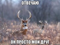 отвечаю он просто мой друг