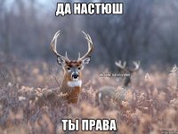 Да Настюш Ты права