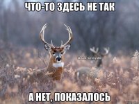 Что-то здесь не так А нет, показалось