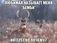 Любимая называет меня "Бемби" Интересно почему?