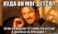 КУДА ОН МОГ ДЕТСЯ? ЭЙ ВЫ НЕ ВИДЕЛИ ТУТ ТАКОЙ ГЛАЗАСТЫЙ В ДОСПЕХАХ НЕ ПРОХОДИЛ ?