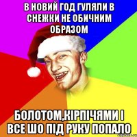 в новий год гуляли в снежки не обичним образом болотом,кірпічями і все шо під руку попало