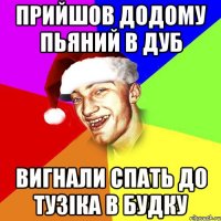 Прийшов додому пьяний в дуб вигнали спать до тузіка в будку