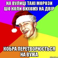 На вулиці такі морози шо коли вихожу на двір Кобра перетворюється на вужа