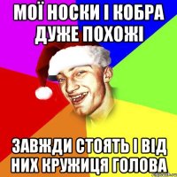 мої носки і кобра дуже похожі завжди стоять і від них кружиця голова