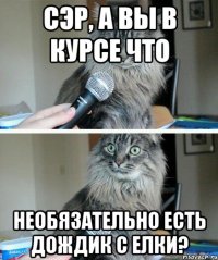 сэр, а вы в курсе что необязательно есть дождик с елки?