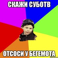 скажи суботв отсоси у бегемота