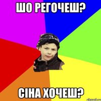 Шо регочеш? Сіна хочеш?