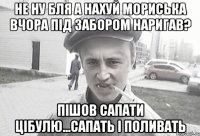 не ну бля а нахуй мориська вчора під забором наригав? пішов сапати цібулю...сапать і поливать