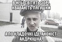 В небі світять зорі, квавають лягушки а по кладочкі іде, аноніст андрюшка.