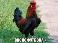  околофутбола