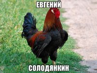 Евгений Солодянкин