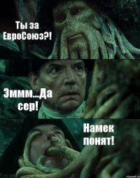 Ты за ЕвроСоюз?! Эммм...Да сер! Намек понят!