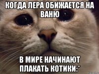 Когда Лера обижается на Ваню в мире начинают плакать котики:*