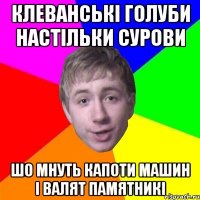 клеванські голуби настільки сурови шо мнуть капоти машин і валят памятникі