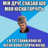 Мій друг сказав шо моя кіска горчіть і я тут такий вона не кіска вона гаряча кіска