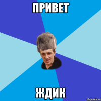 привет ждик