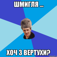 Шмигля ... хоч з вертухи?