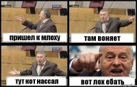 пришел к млоху там воняет тут кот нассал вот лох ебать