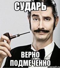 сударь Верно подмеченно