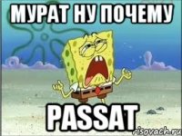 Мурат ну почему Passat