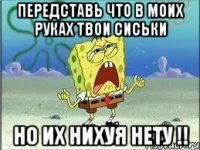 Передставь что в моих руках твои сиськи Но их нихуя нету !!