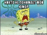 никто не понимает мой юмор 