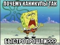 Почему каникулы так быстро прошли???