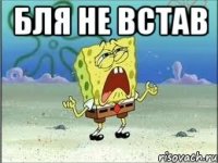 Бля не встав 