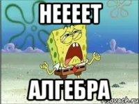 неееет алгебра