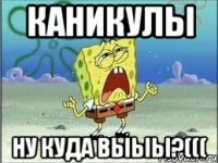 Каникулы ну куда выыы?(((