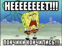 Неееееееет!!! ПОНЧИКИ КОНЧИЛИСЬ!!!