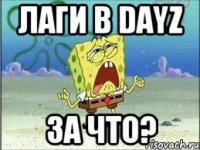 Лаги в DayZ за что?