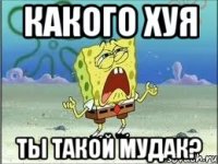 какого хуя ты такой мудак?