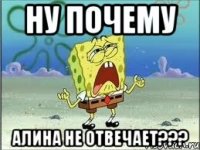 ну почему алина не отвечает???