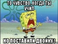 То чувство, когда ты учил но поставили двойку !