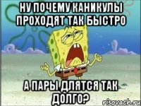 ну почему каникулы проходят так быстро а пары длятся так долго?