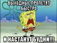 выходные пролетят быстро и настанут будни!!!