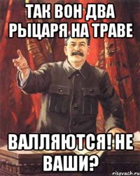 ТАК ВОН ДВА РЫЦАРЯ НА ТРАВЕ ВАЛЛЯЮТСЯ! НЕ ВАШИ?