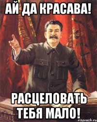 Ай да красава! Расцеловать тебя мало!